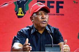 It's failure, 'disrespect from all of you': Malema slams EFF branches for  not electing women leaders | News24