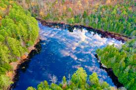 Past Presidents — Northeast Aquatic Plant Management Society