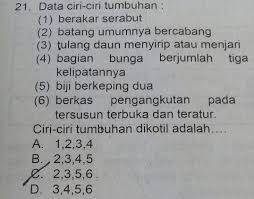 Tak sama halnya pada tumbuhan dikotil yang banyak mempunyai kelipatan 2, 4 dan 5. Ciri Ciri Tumbuhan Dikotil Adalah Brainly Co Id