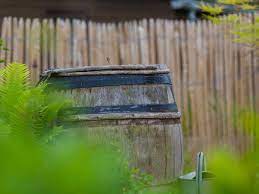 Und hier seht ihr den blühenden hauseingang mit seinem nahrungsangebot auf einen blick. Siebenschlafer Und Co Im Garten Schutzen Regentonnen Abdecken Bund E V