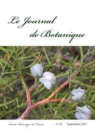 Image result for Limnophila ceratophylloides