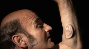 El arte de la postnaturaleza: exploraciones transhumanistas en la  vanguardia del arte contemporáneo