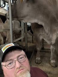 Cow visiting a parlor