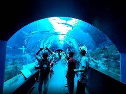 Kegiatan yang menarik di singapore river adalah singapore river cruise. Tempat Menarik Di Singapore 11 Destinasi Wajib Lawati