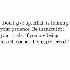 Don T Give Up Allah Is Training Your Patience Be Thankful For Your Trials If You Are Being Tested Islamic Inspirational Quotes Islamic Quotes Quran Quotes