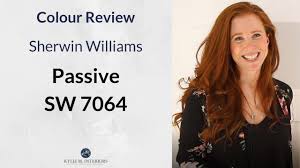Check spelling or type a new query. Paint Colour Review Sherwin Williams Passive Sw 7064 Youtube