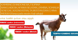 Islami.co dihidupi oleh jaringan penulis, videomaker dan tim editor yang butuh dukungan untuk bisa memproduksi konten secara rutin. Ibadah Qurban Dan Aqiqah Kambing Di Mekah Pada Musim Haji Cuma Rm500 Sahaja Coretan Anuar