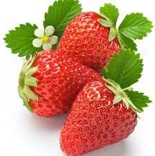 Resultado De Imagen Para Imagenes De Frutas Laminas De Frutas Dibujos De Frutas Bodegon De Frutas