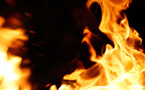We present you our collection of desktop wallpaper theme: Free Fire Background Images Wallpapers