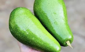  lợi ích tuyệt vời khi ăn quả bơ không phải ai cũng biết