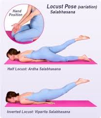 How To Do Locust Pose In Yoga Yoga Tutorial Hot Yoga Poses Yoga Therapy