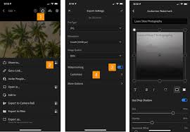 How to add a watermark with photoshop and lightroom. What S New In Cloud Based Lightroom Desktop And Mobile June 2020 Local Hue And More Laura Shoe S Lightroom Training Tutorials And Tips