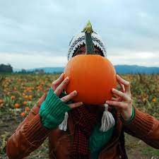 Pumpkin Patches In And Near Portland The Official Guide To Portland