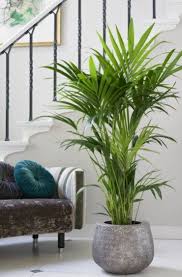 40 Awesome Indoor Plants Decor Ideas For Your Home And Apartment Trendehouse Artificial Plants Decor House Plants Indoor Plant Decor Indoor