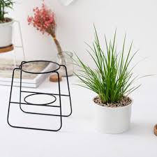La sopravvivenza delle piante grasse durante la stagione invernale, se le temperature scendono sotto lo zero, dipende principalmente da due fattori: Vasi E Accessori Per Piante Piante E Vasi Da Giardino In Ceramica Bianco Ciotola Rotonda Grande Fioriera Con Supporto In Metallo Vassoio In Bambu Per Piante Grasse Vaso Cactus Vasi Da Interni
