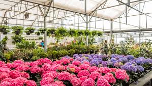 70 murfreesboro tennessee rv parks & campgrounds. Putting Down Roots Martin S Home Garden Keeps Murfreesboro Growing