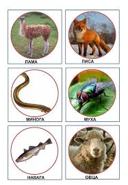 дидактические карточки домашние животные и их детеныши картинки для детей Pin By Anastasiya Vishnyuk On Skladi Animals Preschool