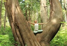 Maybe you would like to learn more about one of these? 7 Pacific Northwest Wellness Retreats That Go Beyond Yoga Listed