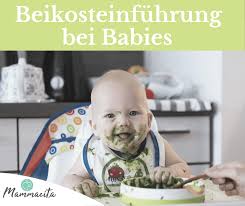 Die gläschen enthalten alle altersangaben, ab wann man sie zufüttern kann. Beikost Zufuttern Beim Saugling Was Macht Sinn Und Ab Wann Sollte Man Zufuttern