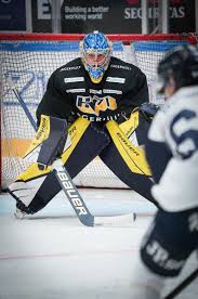 Hv71:s målvakt hugo alnefelt storspelade i bottenmötet mot brynäs, men likväl fick hans lag bara en poäng med sig. Hv71 Auf Twitter Hampus Hedman Fodd 2001 Och Med Hv71 Som Moderklubb Ar Ikvall Med Som Backup Till Jonas Gunnarsson Hv71