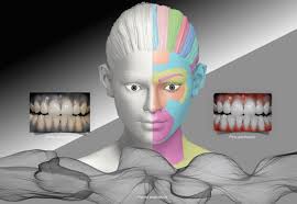 Jan 15, 2017 · furthermore, he added, “this isn’t my first, second, third, fourth, fifth, sixth, seventh seizure. An Introduction To Aesthetic Dentistry Bdj Team