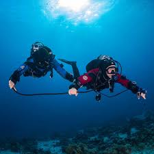Gue Education Conservation Exploration