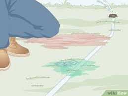 Can we help you find the sprinkler system repair services? How To Repair A Broken Sprinkler Line With Pictures Wikihow