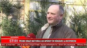 Pe okazii.ro cumperi online produse cu reducere si livrare gratuita din stoc. Primii Brazi Naturali Au ApÄƒrut In Vanzare La Nisporeni Youtube