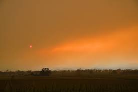 Wildfires burning in the west. In California Fires So Fast Hesitation Proved Lethal The New York Times