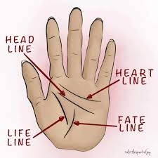 धन योग ,money line in palm or dhana rekha palmistry reading in hindi by senapati dattacharya ji. The Complete Palm Reading Guide To Reading Between The Lines 2020
