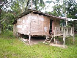 6.7.2015 tujuh keluarga orang asli iaitu empat keluarga daripada kampung orang asli (koa) kempas menang dan tiga. Rumah Buluh Orang Asli Semai Cameron Highlands