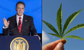 Here's exactly how to open a new dispensary business & what you need to be a successful cannabis entrepreneur! Cuomo S New York Marijuana Legalization Plan Draws Mixed Reviews From Advocates Marijuana Moment