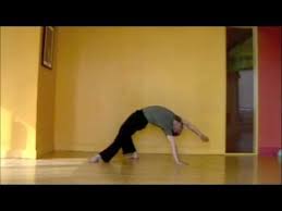 Pin On Advanced Yoga Poses