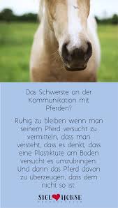 Tja Es Ist Nicht Immer Leicht Pferdespruche Lustige Pferdespruche Pferde Zitate