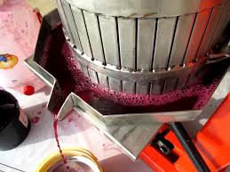 Le Bouturage De La Vigne Faire Du Vin Raisin Jus De Raisin