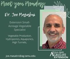 Green options for mosquito combat in Dacusville