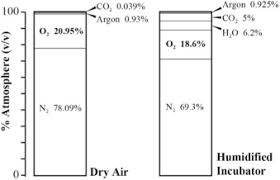 We did not find results for: Limitations Of Oxygen Delivery To Cells In Culture An Underappreciated Problem In Basic And Translational Research Sciencedirect