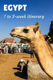 If you have any questions about how much it costs to visit egypt, let us know in the comment section below. Travel To Egypt 3 Week Itinerary Tips Against The Compass