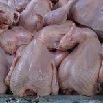 Scopri ricette, idee per la casa, consigli di stile e altre idee da provare. Harga Ayam Hari Ini Terbaru Pt Karya Pangan Sejahtera