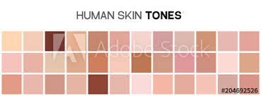 Skin Tone Color Chart Human Skin Texture Color Infographic