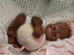 Reborn Baby Dolls 9 Jaw Dropping Stories Oddee