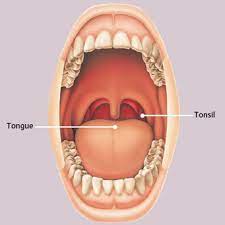 Throat cancer most often begins in the flat cells that line the inside of your throat. Get The Facts About Mouth And Throat Cancer Specialized Dentistry