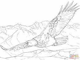 Angry birds mighty eagle coloring pages. Bald Eagle Coloring Pages Bald Images Gallery Coloring Pages Bird Coloring Pages Eagle Sketch Eagle Drawing