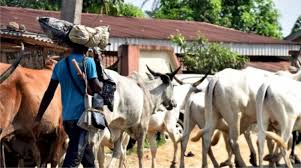 The number of casualties cannot be ascertained as of the time. There Is Tension In Igangan Ibarapa North Local Government Area Of Oyo State Due To The Quit Notice Sunday Igboho Issued To The Fulani Fulani News Media