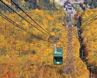 層雲峡の画像