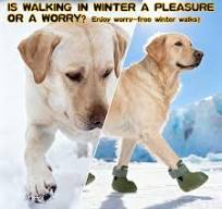 Amazon.com : EXPAWLORER Dog Shoes for Hot Pavement Small ...