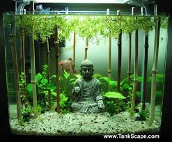 Pin By Floriano Palmirotta On Fine Art Cool Fish Tanks Small Fish Tanks Aquarium Fish Tank