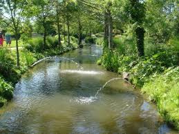 Le Jardin Des Olfacties Abandonne Quelle Tristesse Avis De Voyageurs Sur Jardin Des Olfacties Coex Tripadvisor