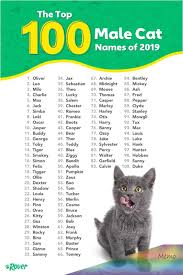 Apr 18, 2021 · some people like to give their cats human names, just as they would for a baby. What Are The Most Popular Cat Names Hno At