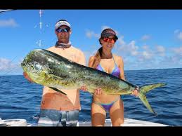 Check spelling or type a new query. Costa Rica Fishing Charters Reports Jaco Destimap Destinations On Map